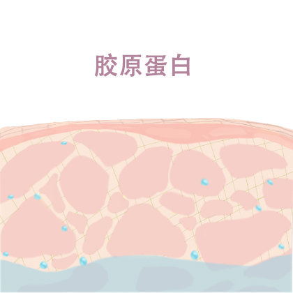 胶原蛋白